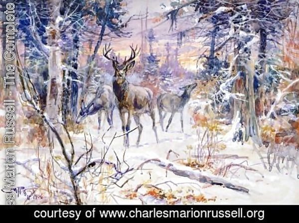 Charles Marion Russell - Deer in a Snowy Forest