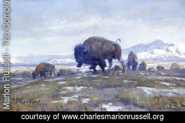 Charles Marion Russell - Buffalo Herd