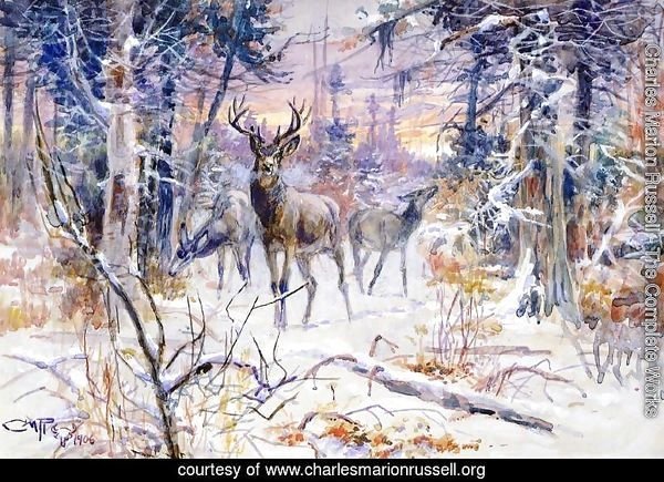 Deer in a Snowy Forest